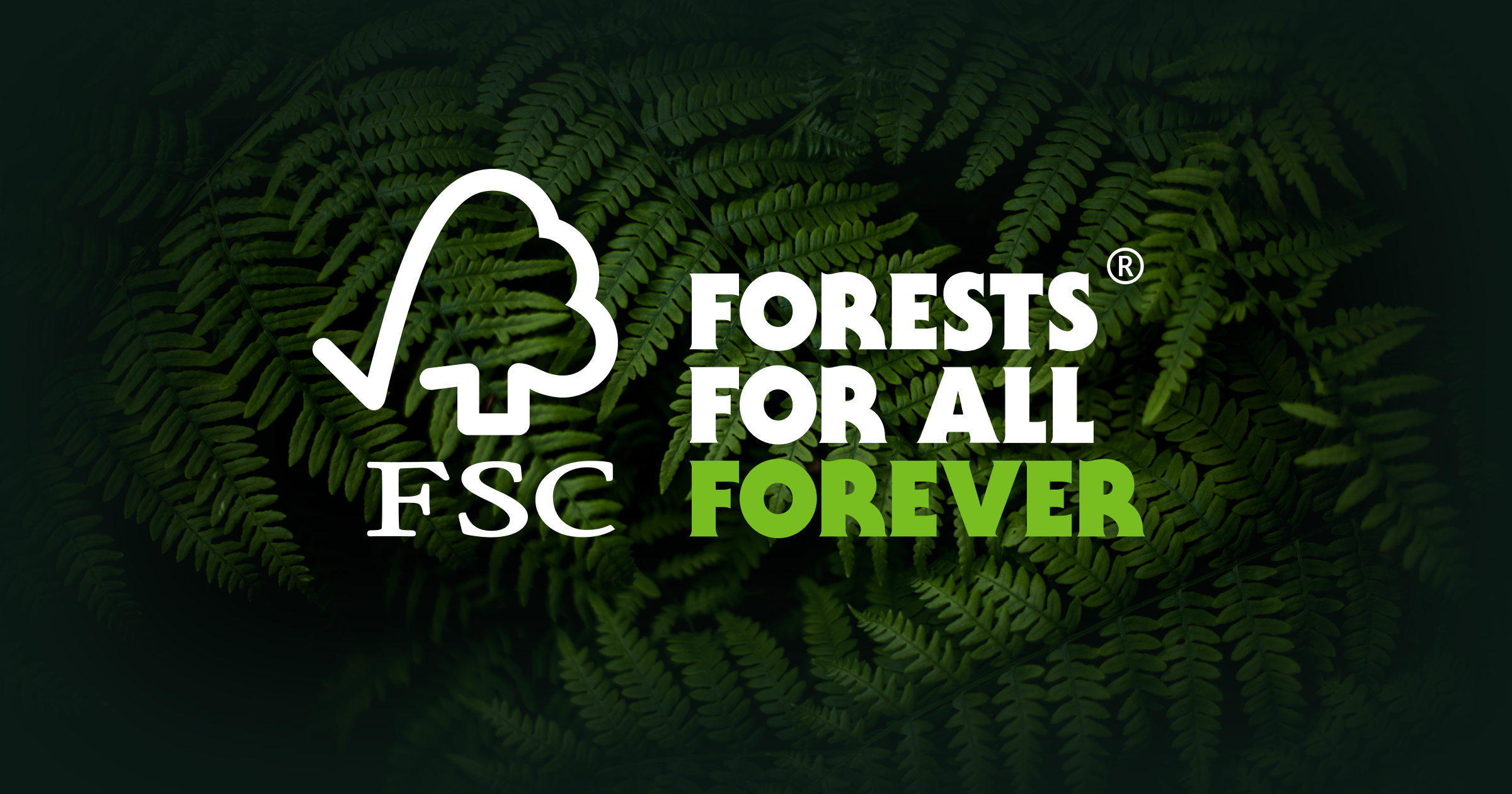 FSC Certificate: All Details To Know